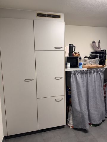 3.5 Zimmer, 66 m², EG - Foto 4