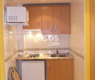 Estudio en alquiler en Calle Luis Salas Balust , Número 33 - Foto 4