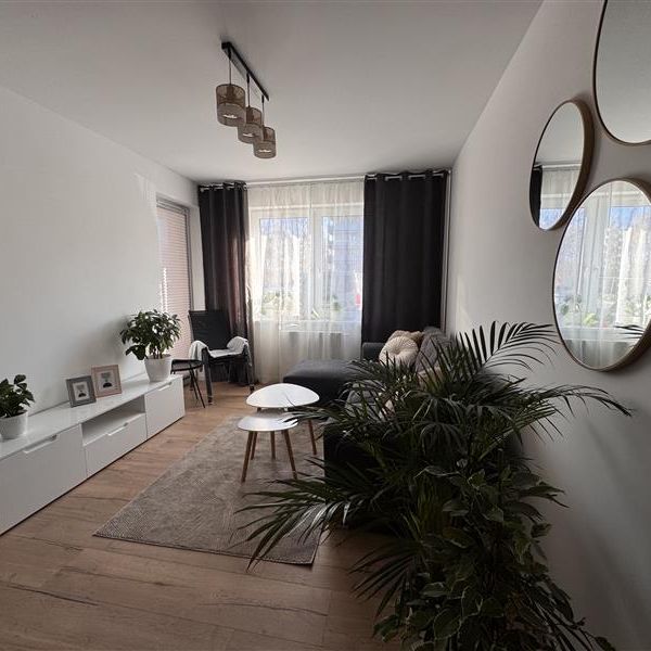 Mieszkanie na Wynajem: Koszalin - Photo 1