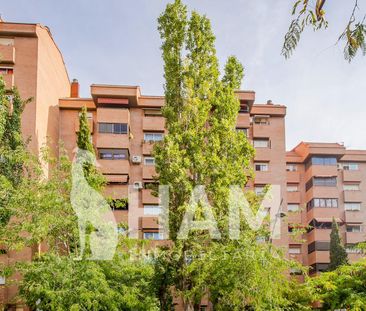 Habitación - Tres Cantos - Primera Fase - Nuevo Tres Cantos - 475€ ... - Photo 5