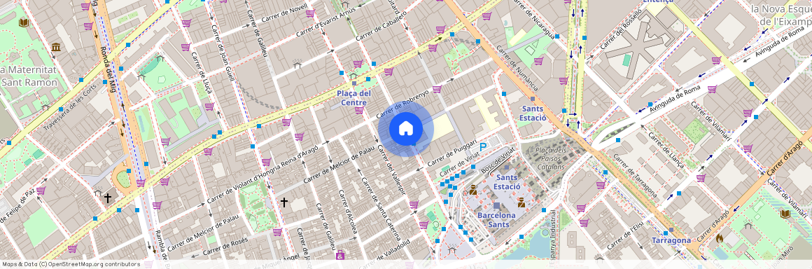 Carrer dels Comtes de Bell-Lloc, Barcelona, Catalonia 08014