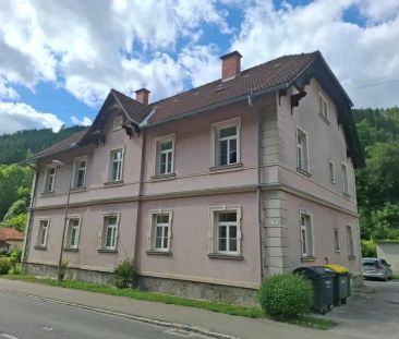 NEU - Unmöblierte 2-Zimmer-Altbauwohnung im Halbstock in Thörl nahe... - Photo 2