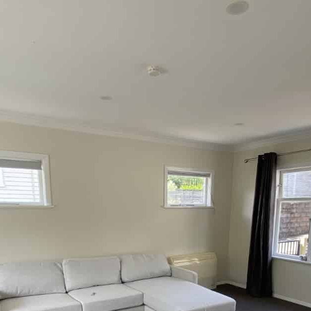 Cutie in Huia - Photo 1