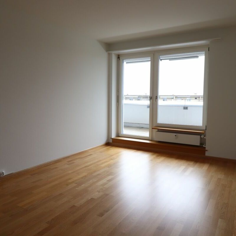 Zwischen Novartis Campus und Kannenfeldpark - moderne 2-Zimmerwohnung in Basel zu vermieten - Photo 1