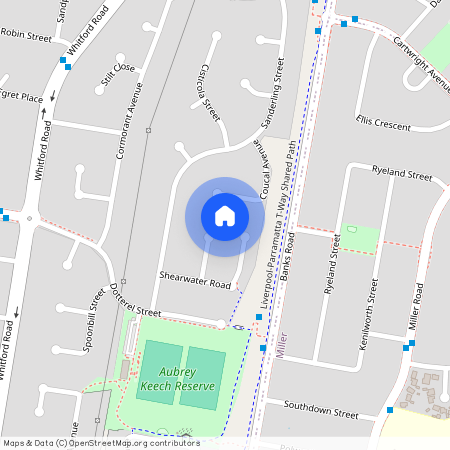 11 Grebe Place, NSW 2168, Hinchinbrook