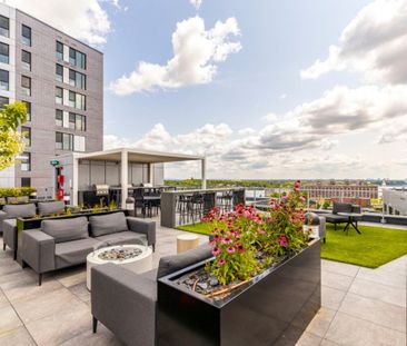 Appartement à louer - Montréal (Ville-Marie) (Centre) - Photo 3