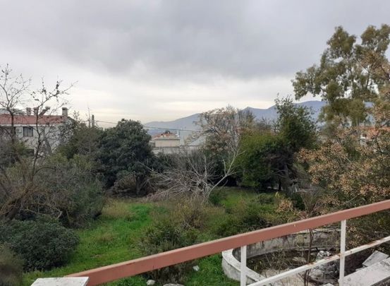 Μονοκατοικία για ενοικίαση Άνοιξη - Photo 1