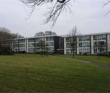 Bryony House, Jocks Lane, Bracknell, RG42 - Photo 6