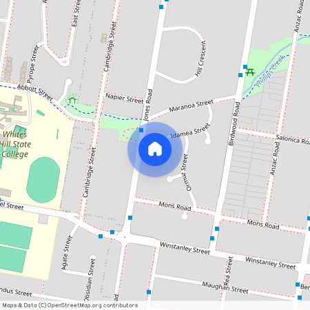 25 Idamea Street, Qld 4152, Carina Heights