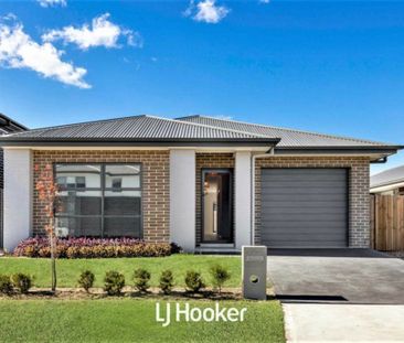 Beautiful 4 Bedroom Home! - Photo 4