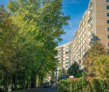 1-Raum-Erdgeschosswohnung mit Balkon - Photo 2