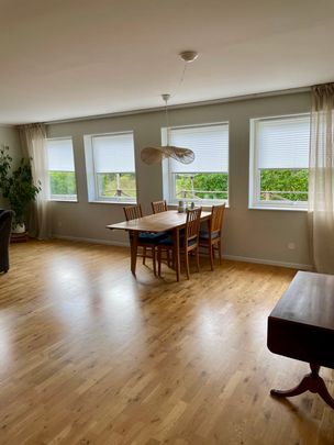 Väskinde Lummelundsväg, Visby - Photo 1