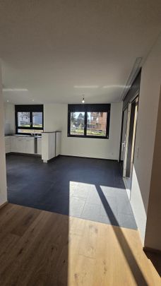 Zu vermieten exklusive Neubauwohnungen in Appenzell - Foto 1