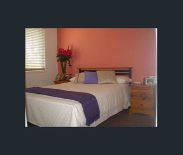 Location Location Location! (Rent increase May 2027) - Photo 4