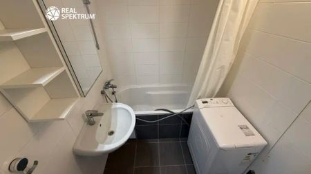 Byt 1+1 s lodžií na pronájem, 42 m - Fotografie 3