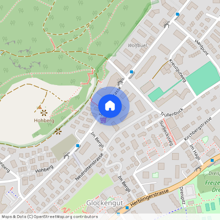 Stettemerstrasse 46, 8207 Schaffhausen, 8207