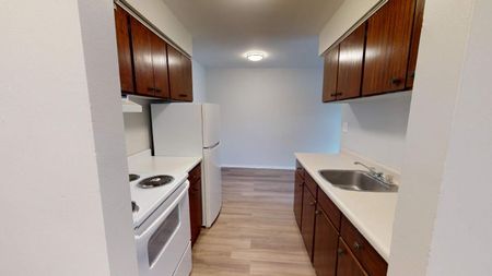 Junior One Bedroom - Photo 3