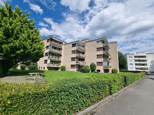 Silencieux avec emballage vert - Photo 1