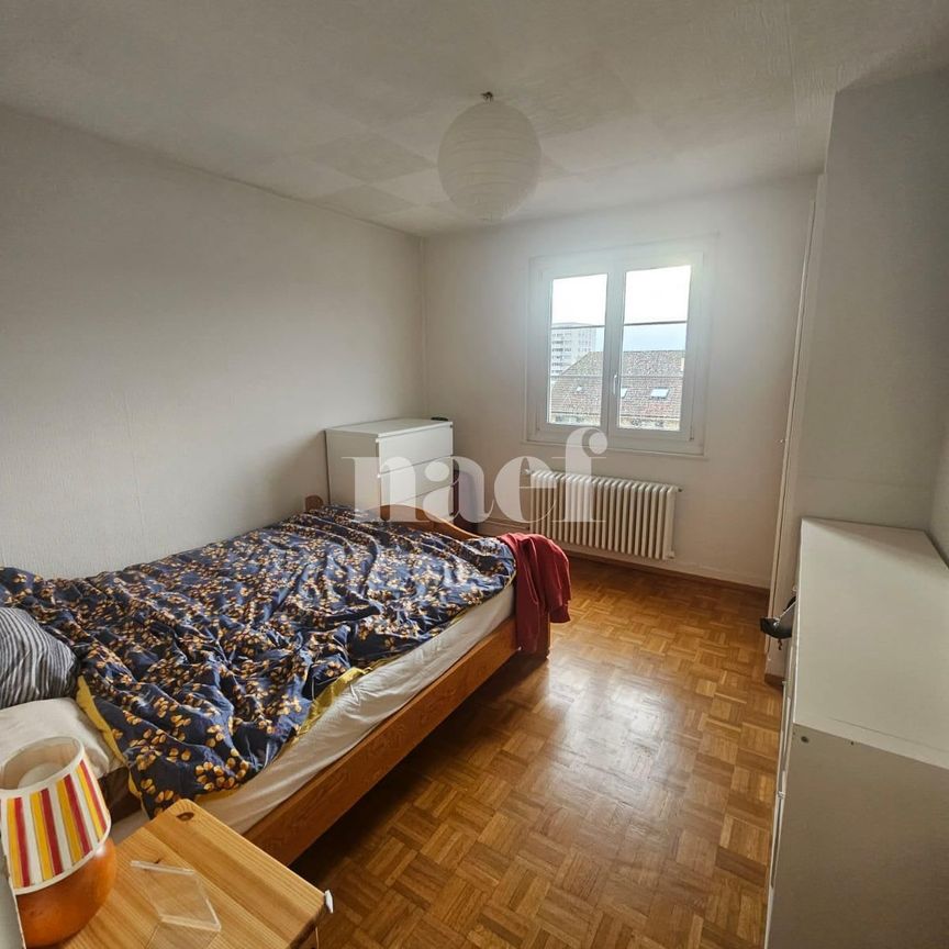 2.5 Zimmer, 48 m², 3. Stock - Photo 1