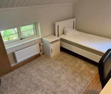 Lilla Djurgården, Uppsala - Foto 2