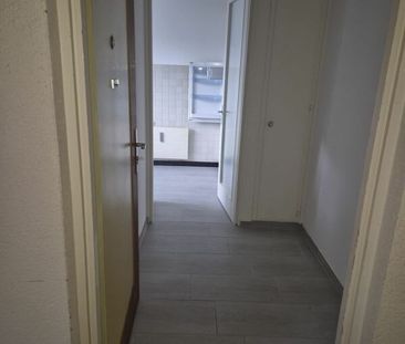 3 Zimmer, EG - Photo 6