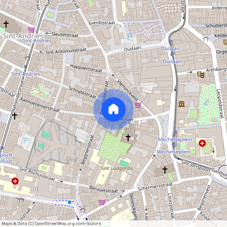 Rosier 13, 2000, Antwerpen