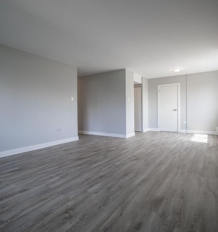 1225 Saint Marc Street, Montréal, QC - Photo 3