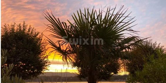 bureaux Genève - Foto 3