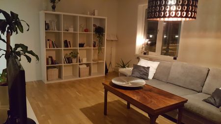 Östra Esplanaden, Åseda - Photo 5