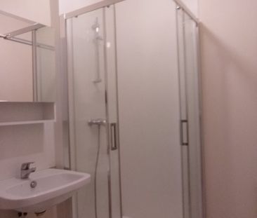 Location Appartement 2 pièces 47m² STE SAVINE 10300 - Photo 5
