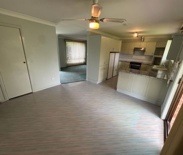 Classical Cavalier - Photo 6