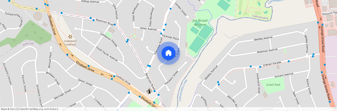 24 Florence Street, NSW 2170, Mount Pritchard