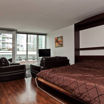 Pet Allowed -Available March 1st -Furnished Studio @233 Robson - Photo 4