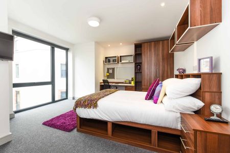 Studio Bronze Plus - Photo 5