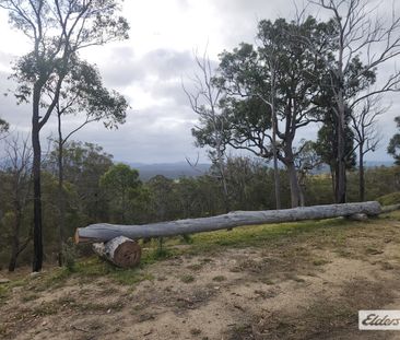 Lot 3 Moruya Reservoir Road - Photo 1