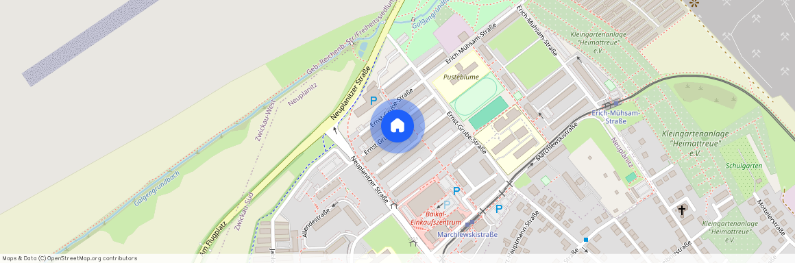 E.-Grube-Str. 179, Neuplanitz, 08062, Zwickau