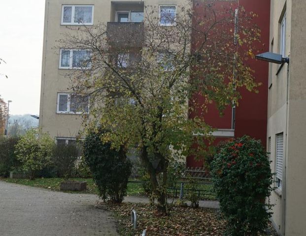 Gemütliche Etagenwohnung in Weißenthurm mit abwechslungsreicher Atmosphäre - Foto 1