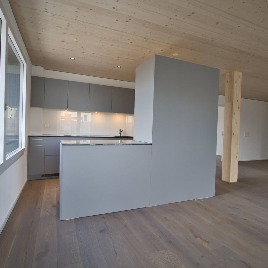 4.5 Zimmer, 133 m², 1. Stock - Foto 1