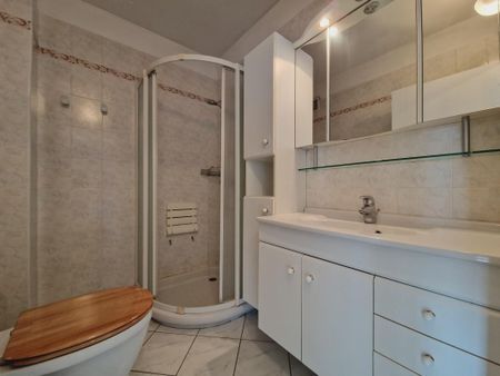 Location Appartement 2 pièces 35m² ANNECY 74000 - Photo 3