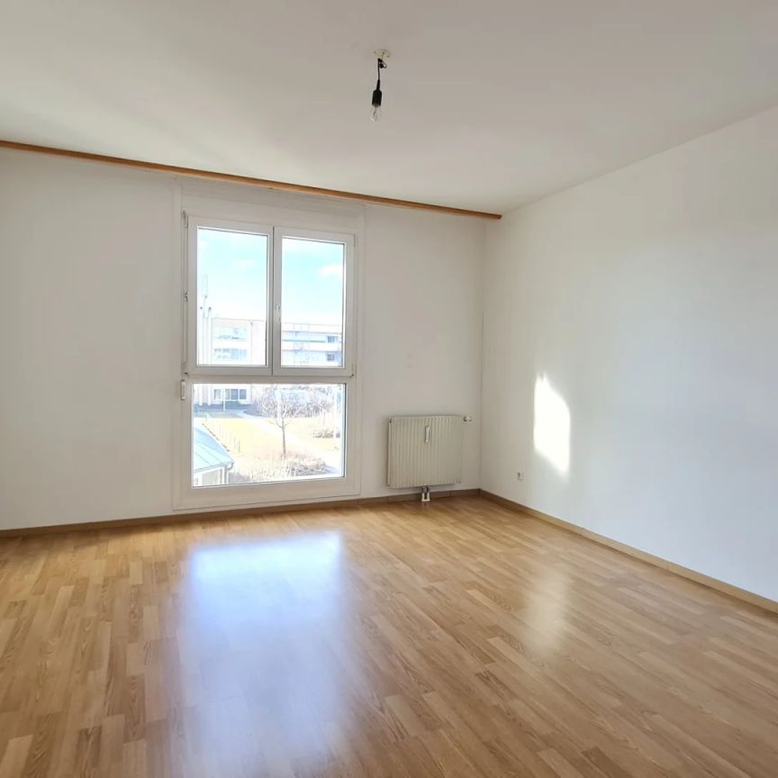2 ZI Etagenwohnung + LOGGIA + LIFT - TRILLERPARK - GEFÖRDERTE Mietwohnung mit Finanzierungsbeitrag (EUR 23.800,43) - Photo 1