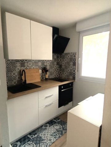 Location appartement 2 pièces, 41.04m², Fenouillet - Photo 3