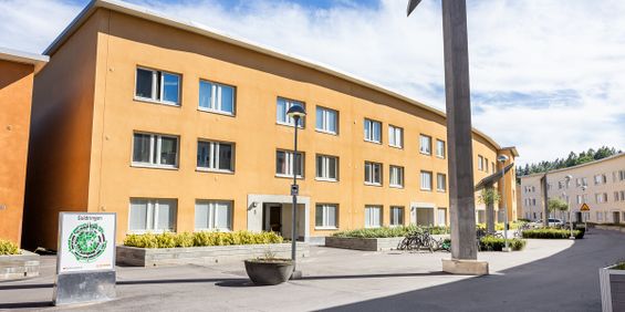 Guldringen 3, Ringdansen - Foto 3