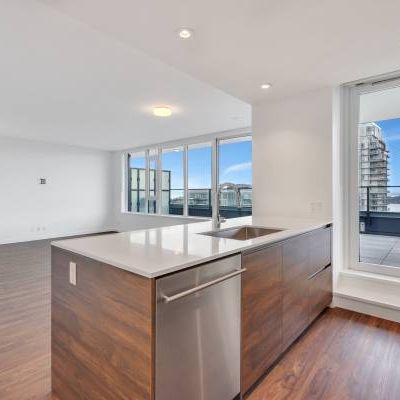 Brand New Penthouse 2 Bed/2 Bath Apartment Receive 1 Month Free Rent - Photo 1