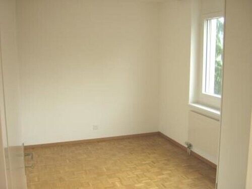 Cozy apartment near the center of Frauenfeld - Photo 1