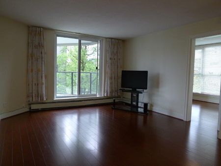 #503 – 1010 Burnaby Street, Vancouver, Bc V6e 4l8 - Photo 5