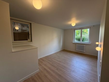 Location Appartement 5 pièces 106m² ST LOUIS 68300 - Photo 4