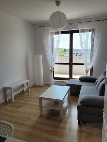 Nowe miasto / Apartament na wynajem (429192) - Photo 5