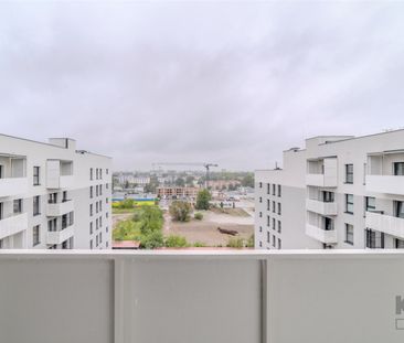 Łódź, Polesie, Srebrzyńska - Photo 5