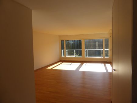 Grosszügige Wohnung an ruhiger Lage im Schöngrund - Olten - Foto 3
