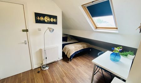 Fantastic 5 double Bedroom student house just off Ecclesall Road - Photo 4